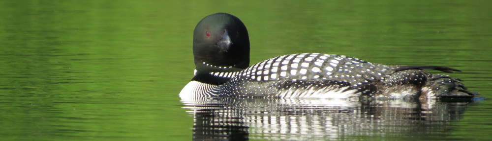 Blue Lake Preservation Association