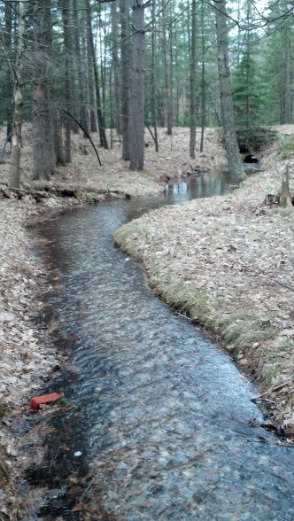 IMG_20140508_161809_593