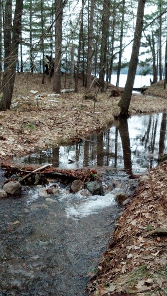 IMG_20140508_161913_635