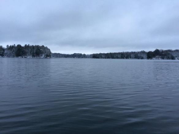 10505589_1559412447657236_721841894683571358_n